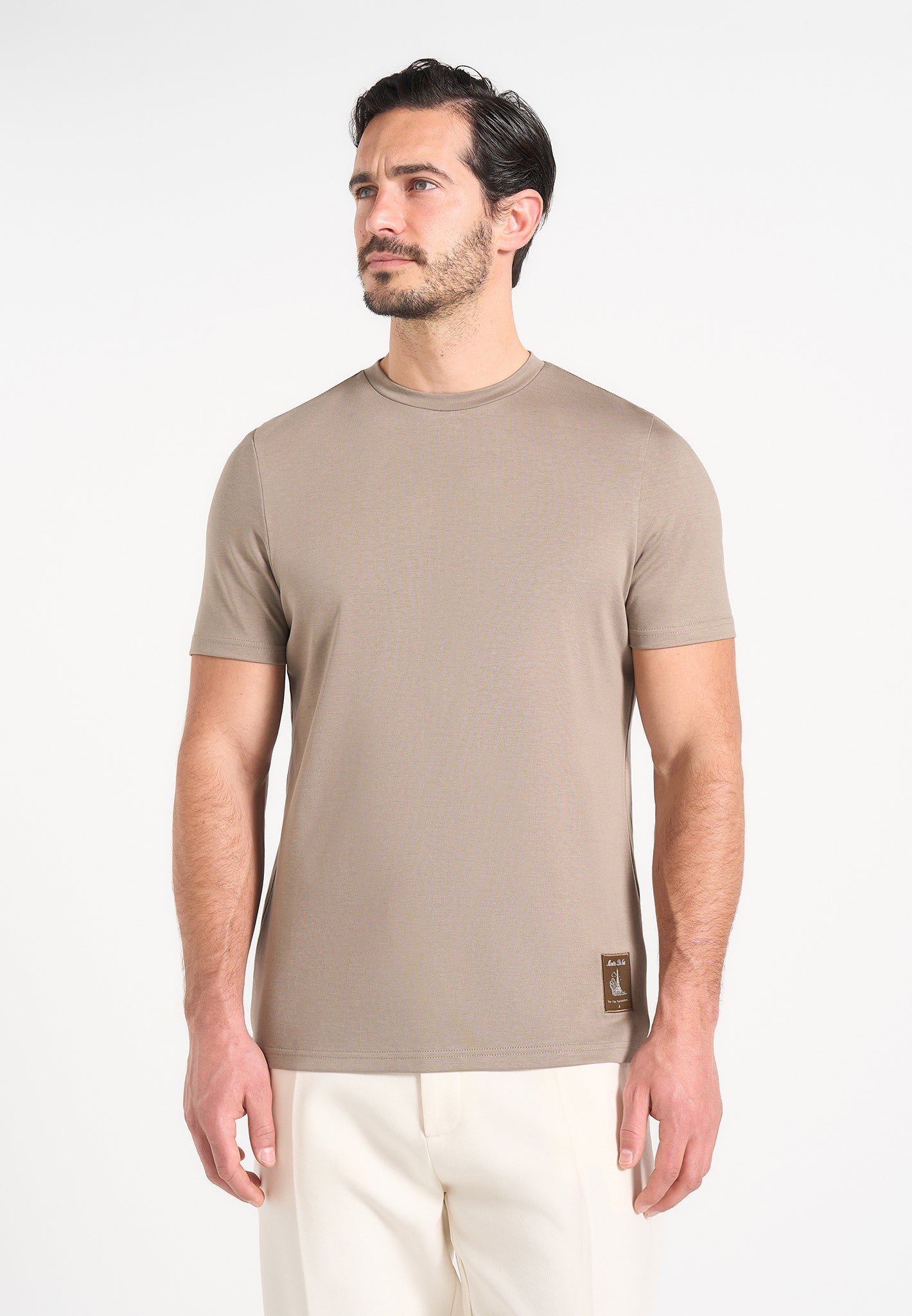 ts003-fitted-luxe-t-shirt-mushroom
