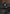 Julie - Satin Twin Pleat Pants - Black